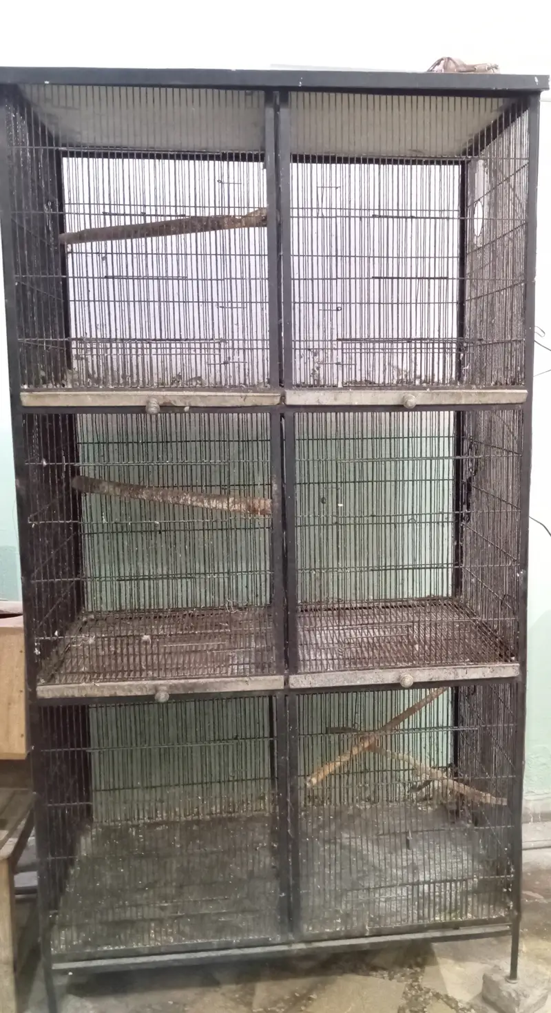 Parrots Cage For Sale — photo 3