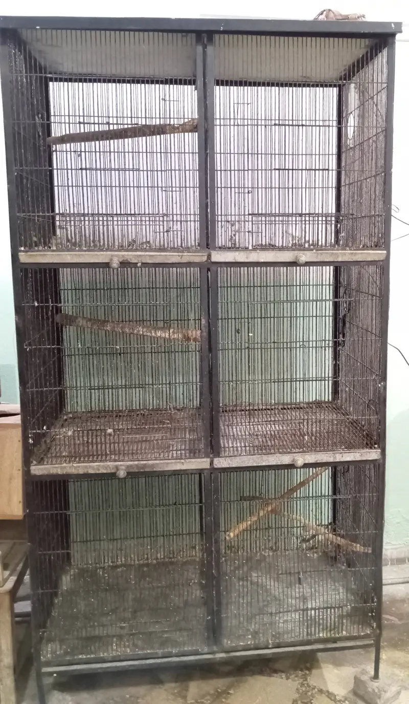 Parrots Cage For Sale — photo 4