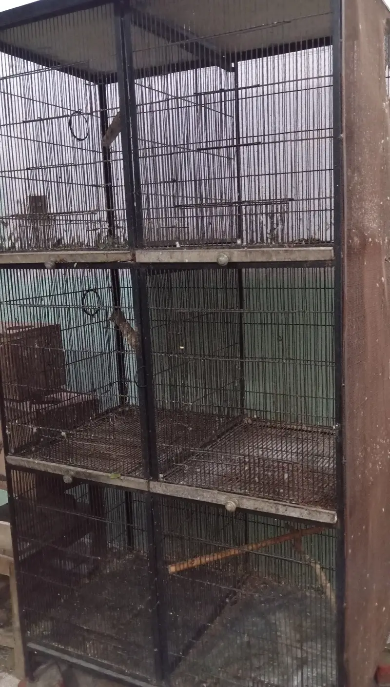Parrots Cage For Sale — photo 5