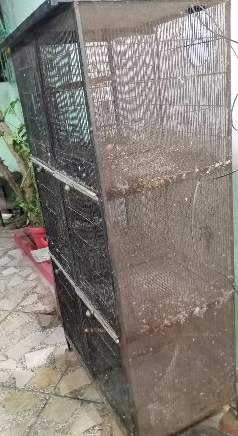 Parrots Cage For Sale — photo 6