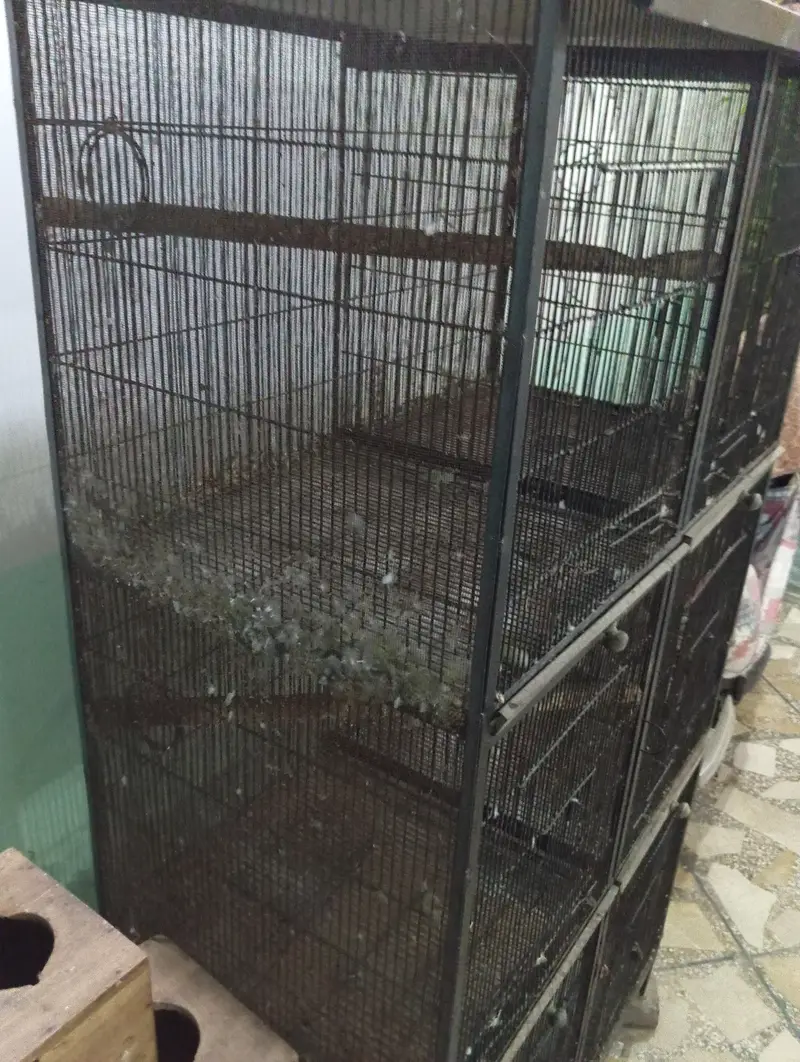 Parrots Cage For Sale — photo 7
