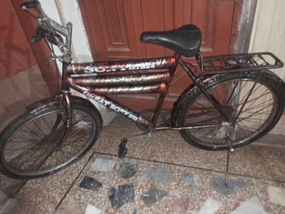 Great SONY MTB 24 - Vintage Style Metallic Dual-Tube Bicycle