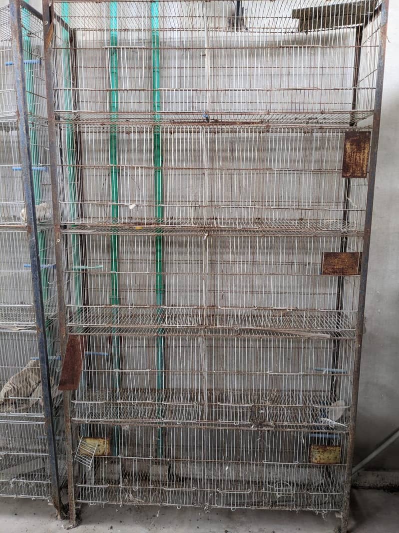 Bird cages 1
