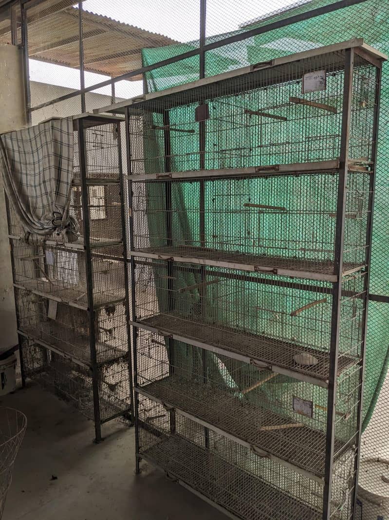 Bird cages 2