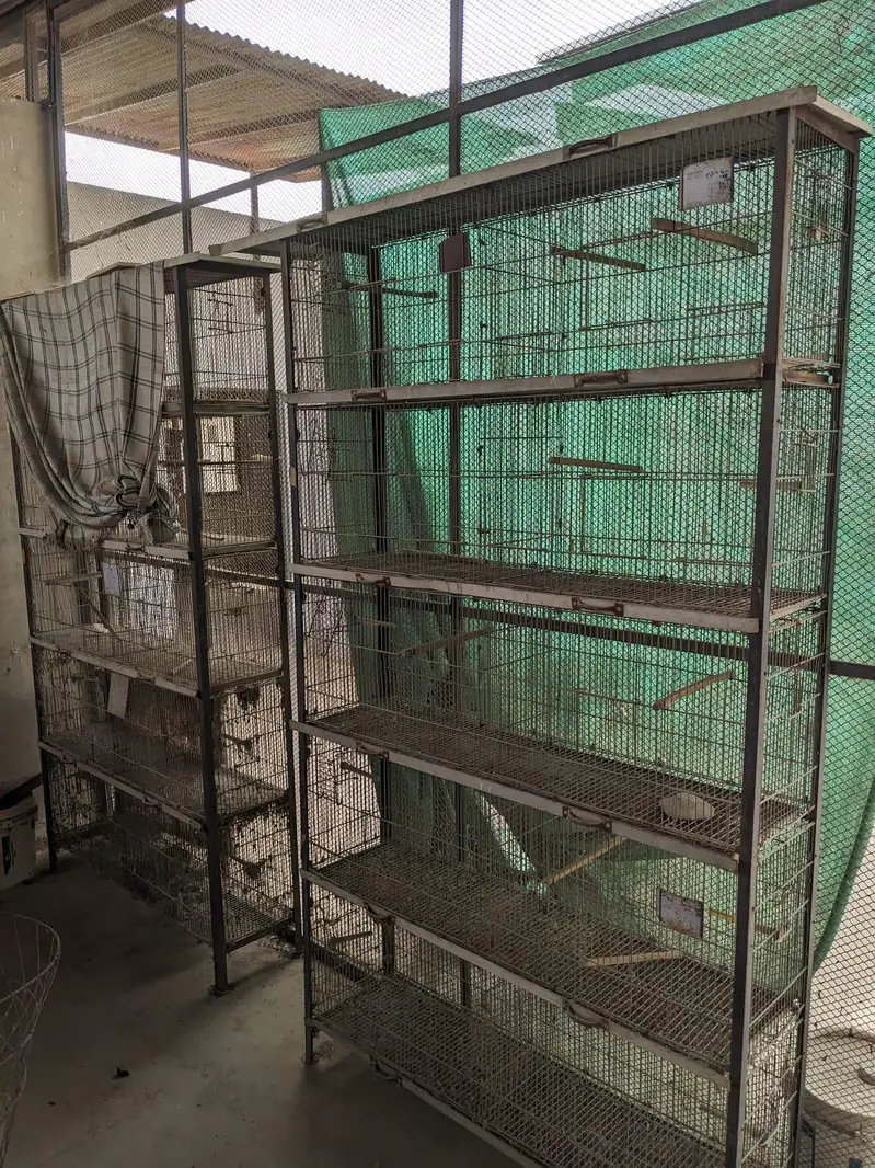 Bird cages — photo 3
