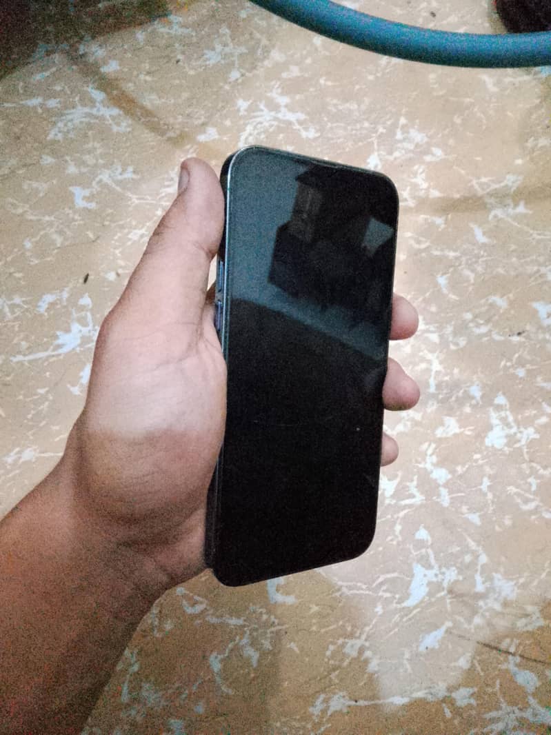 Apple iPhone 13 Pro Max 2
