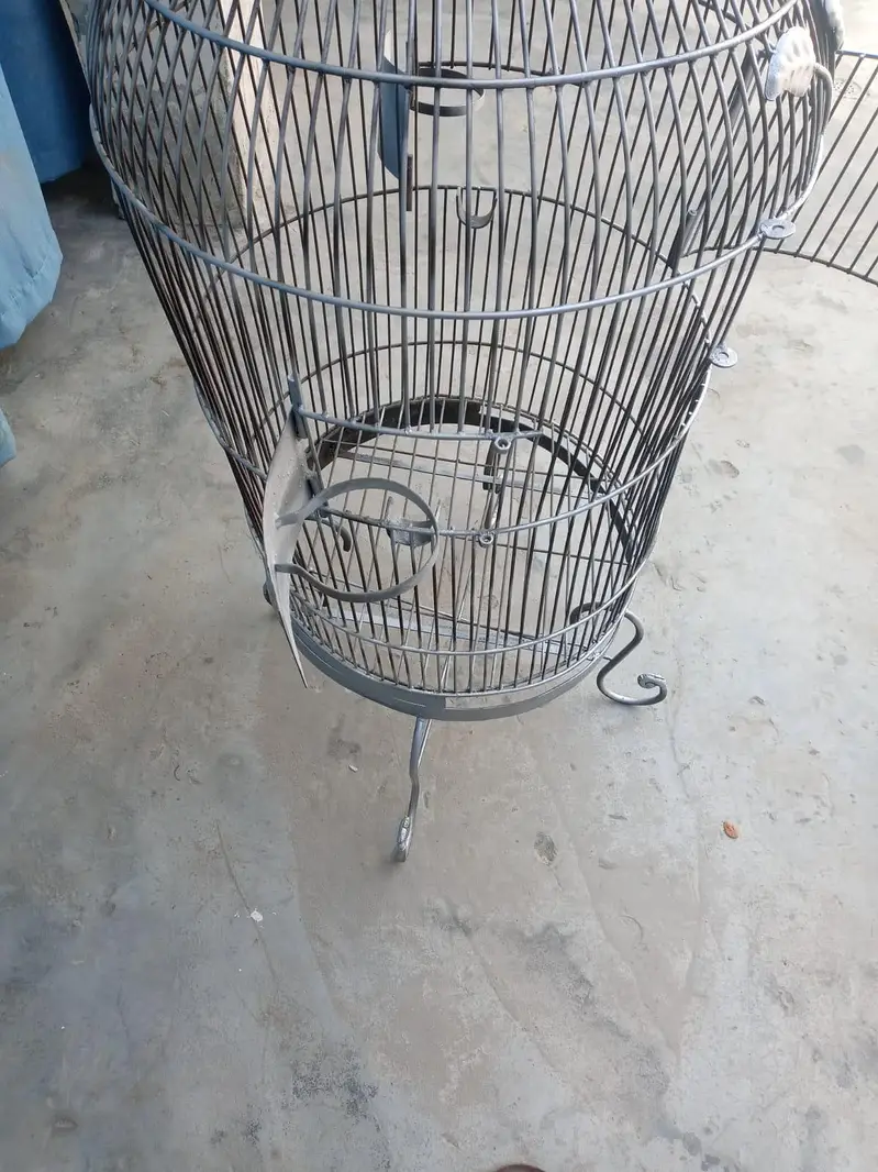 parrot cages — photo 3