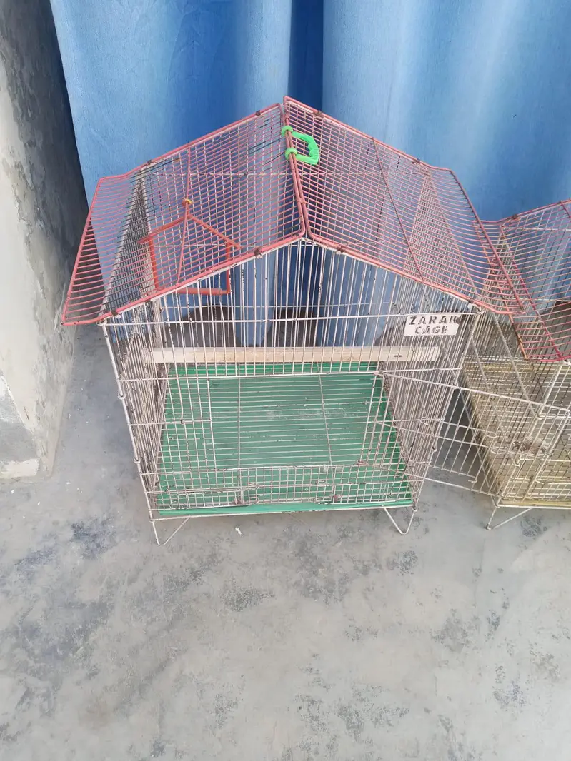 parrot cages — photo 4