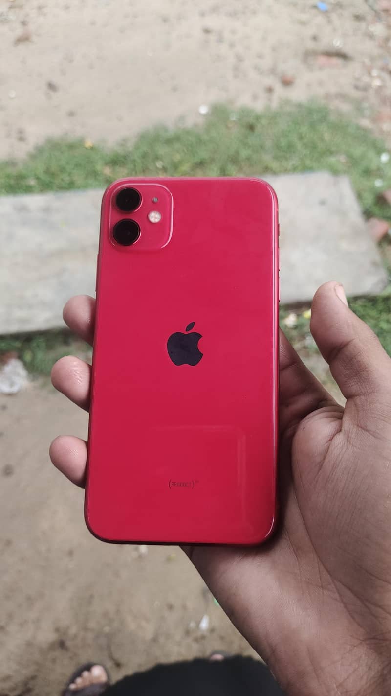 iPhone 11 0