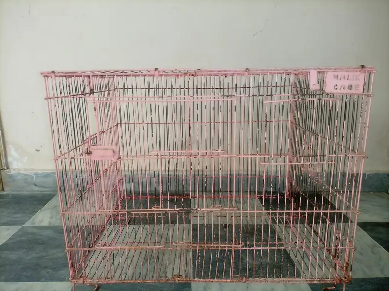 Cocktiel Pair , double door Cage , Breeder boxes — photo 3