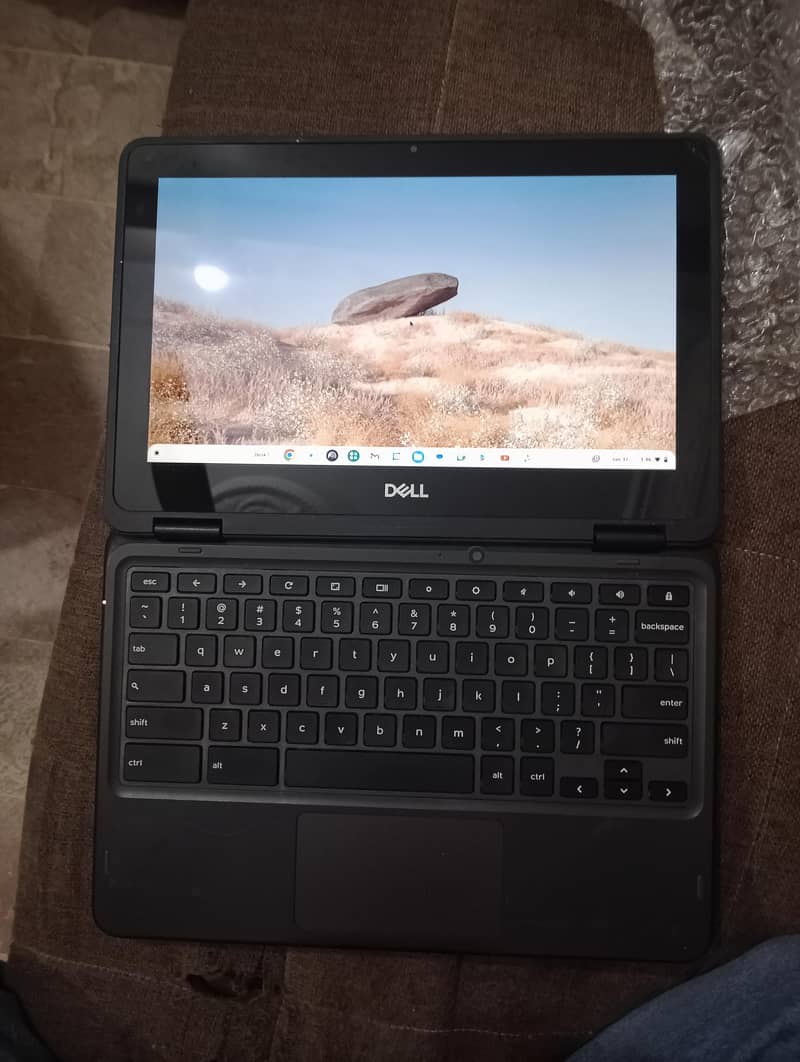 dell 3100 0
