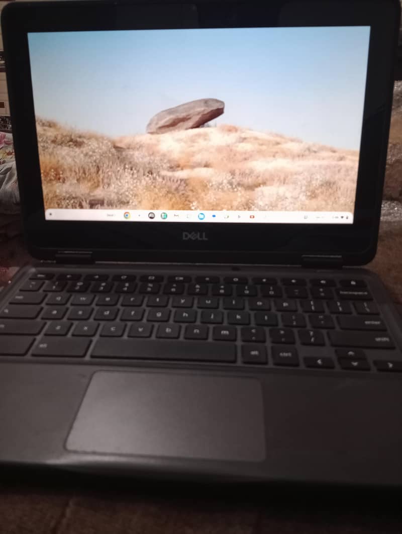 dell 3100 4