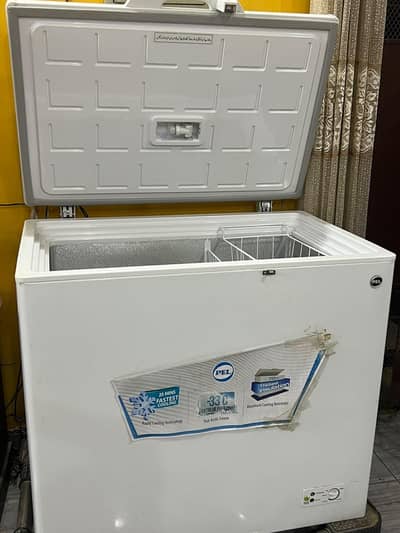 pel single door freezer