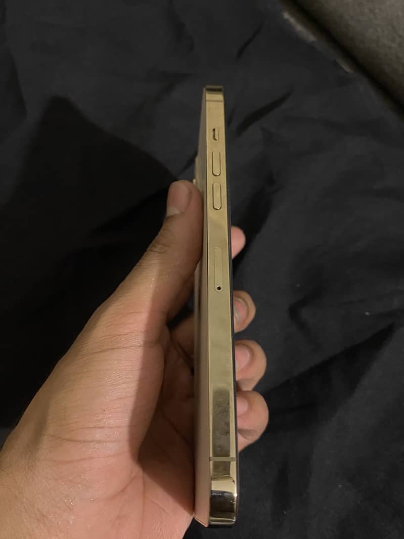 Ipone 6