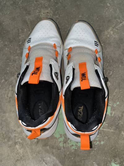 Wizal sports shoes for cricket
