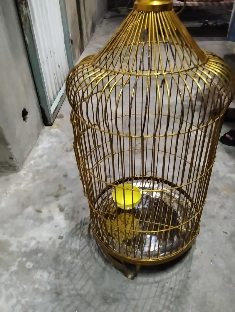 best cage for piggons and parrots — photo 6