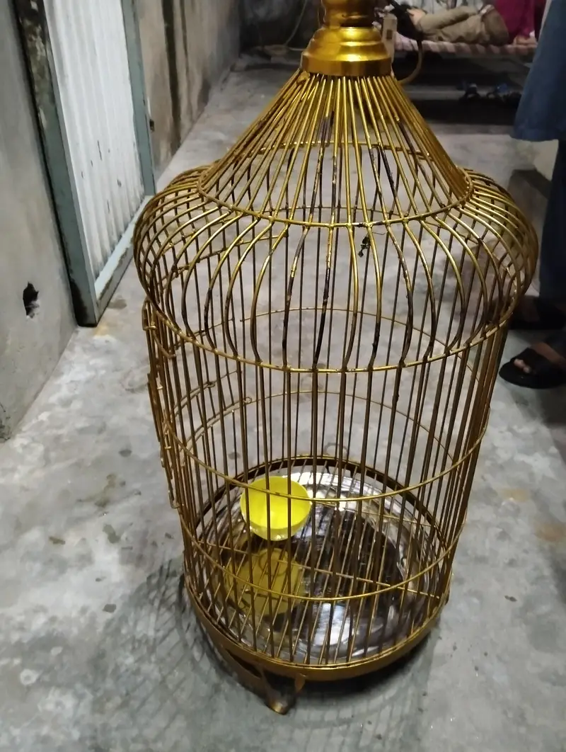 best cage for piggons and parrots — photo 7