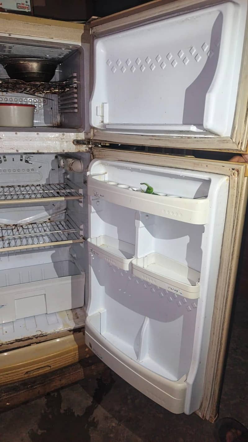 pel fridge 4