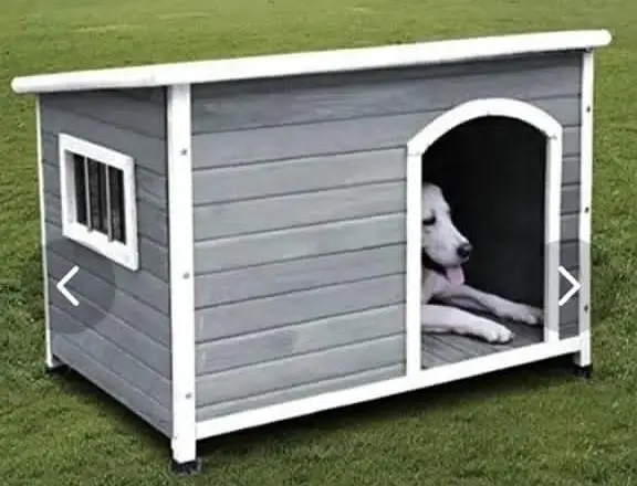 cages , pet house , dog cat house , animal canals , cat dog house. — photo 2