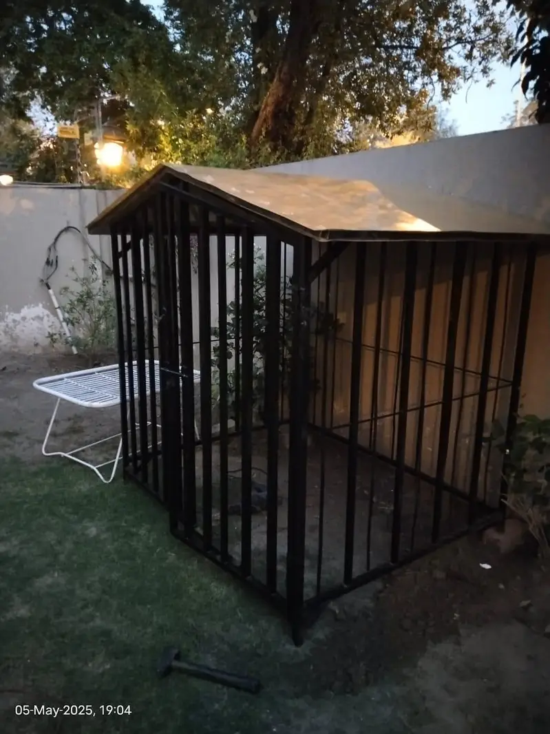 cages , pet house , dog cat house , animal canals , cat dog house. — photo 4