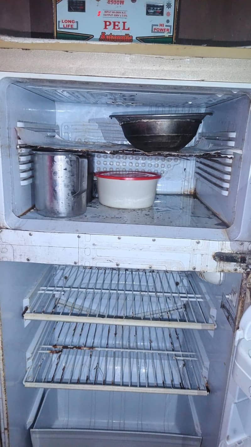 fridge 2