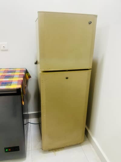 Fridge pel