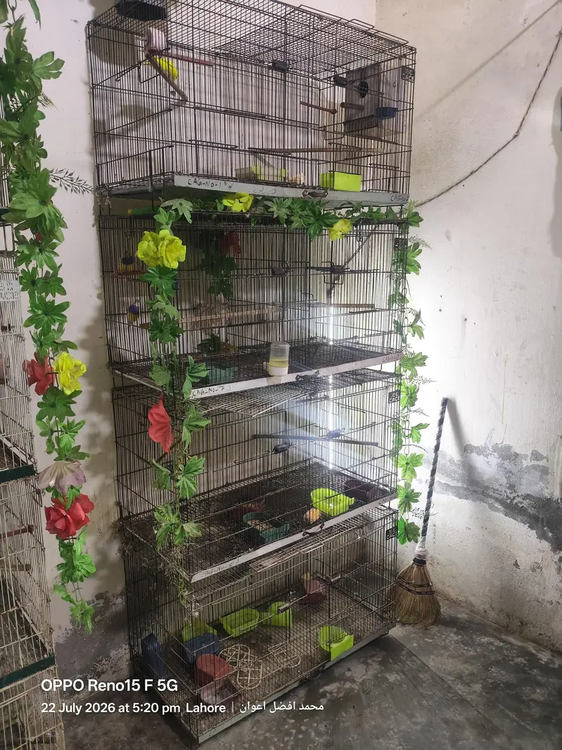 8 portion Cage for sale — photo 2
