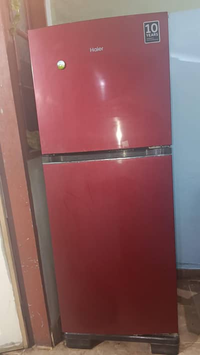 freezer and refrigerator