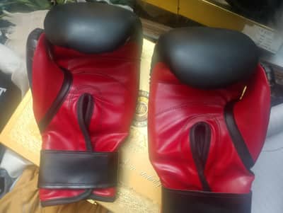 Everlast boxing gloves 12 oz