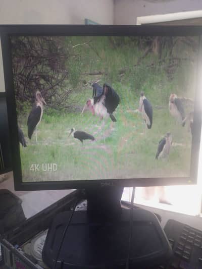 Dell lcd 19 inch new original screen A+ full hd altar sharp diaplay