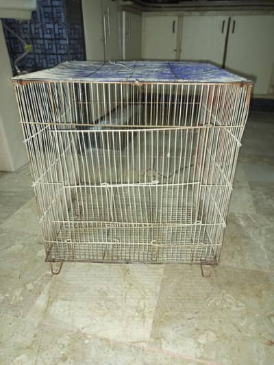 Cage For Birds