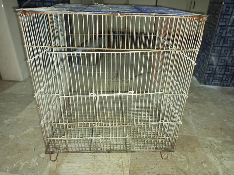 Cage For Birds — photo 2