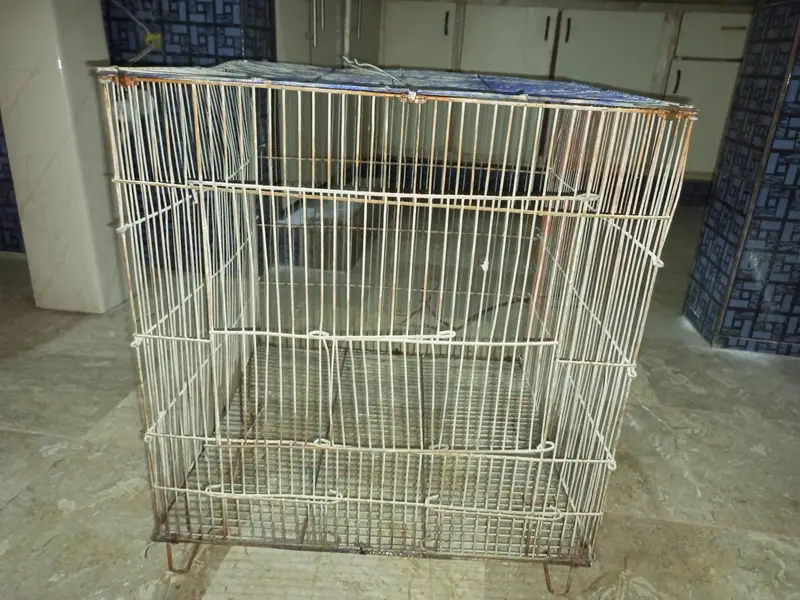 Cage For Birds — photo 3