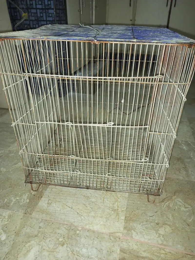 Cage For Birds — photo 4