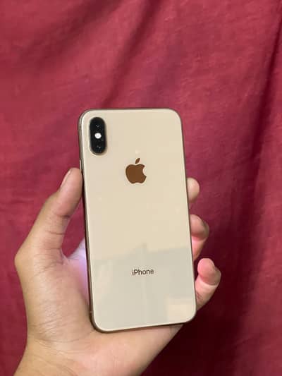 iPhone XS Pta approve