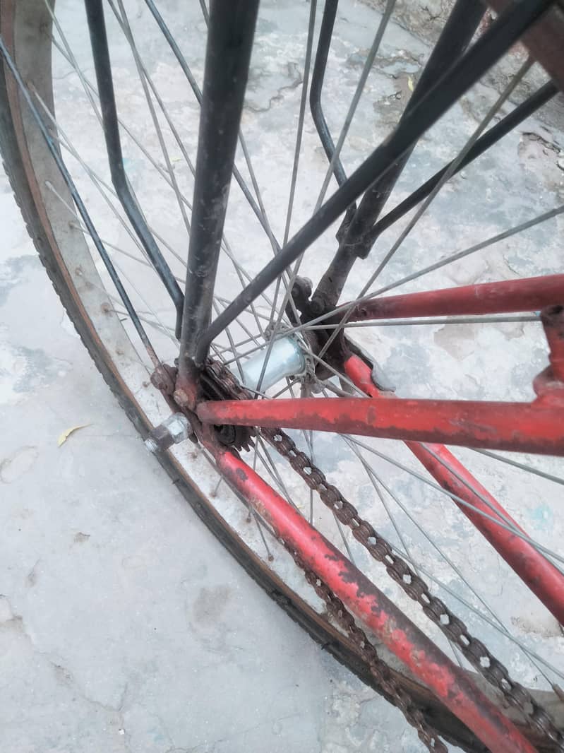 Bicycle 1