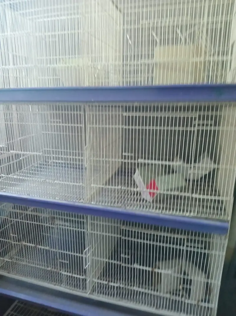 Cage for sale — photo 3