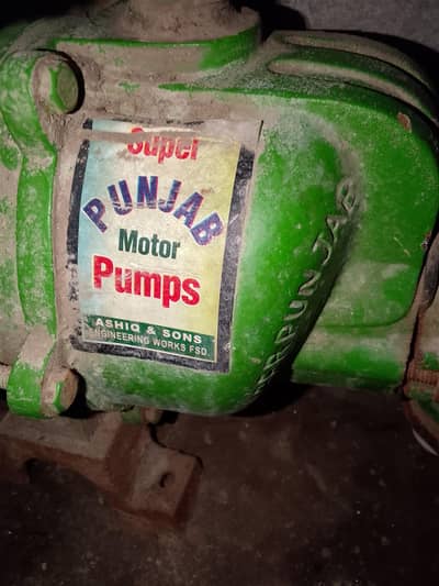 Punjab Water Pump double ampelor