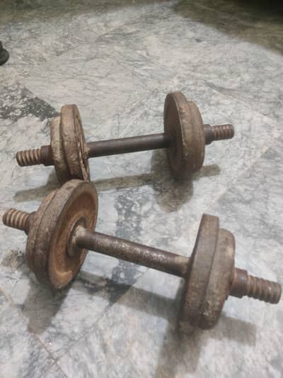 Pair of 8.5 kg Iron old school dumbbells