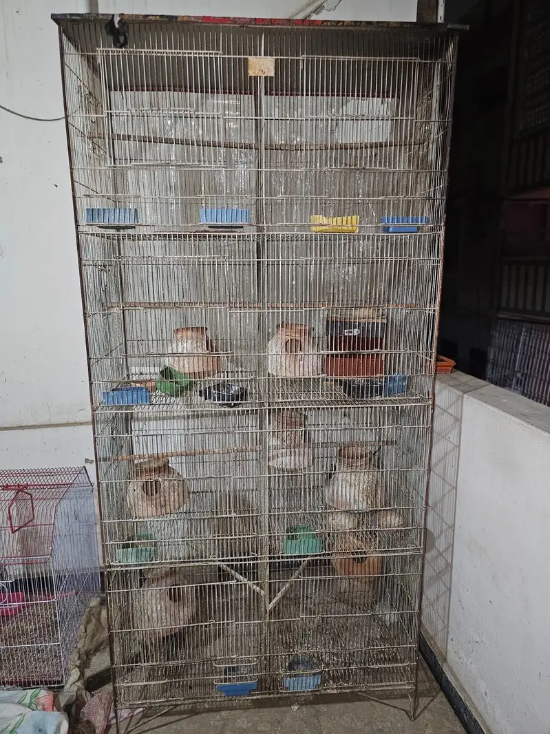 Birds cages sale — photo 2