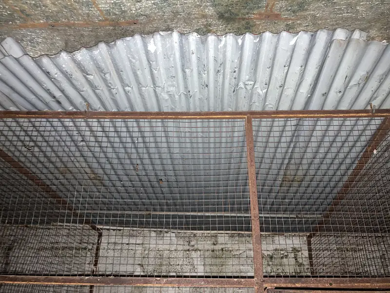 Cage and hens for sale — photo 4