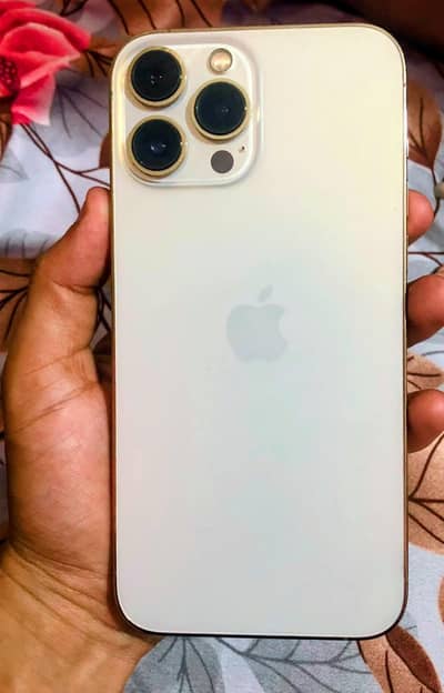 Apple iPhone 13 Pro Max waterpacked