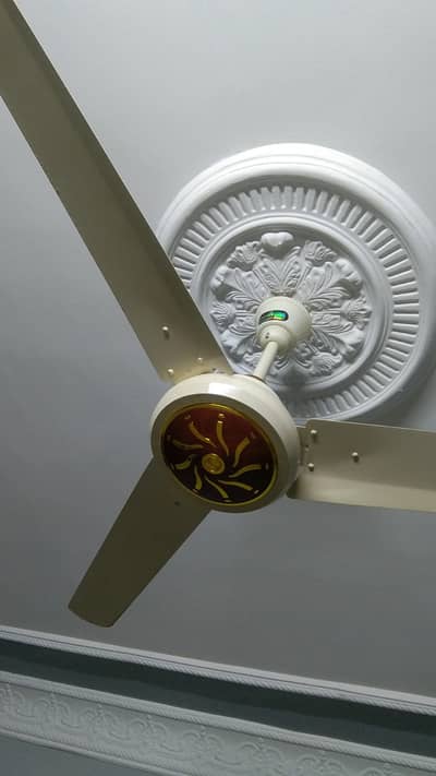 Parker AC DC FAN