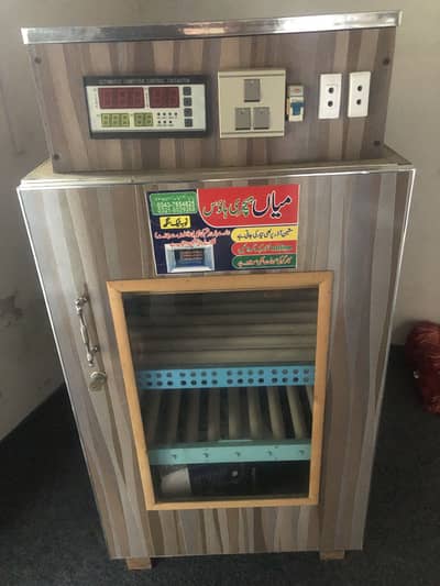 Incubator for sell