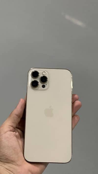 Apple iPhone 12 Pro Max