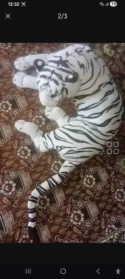 White tiger