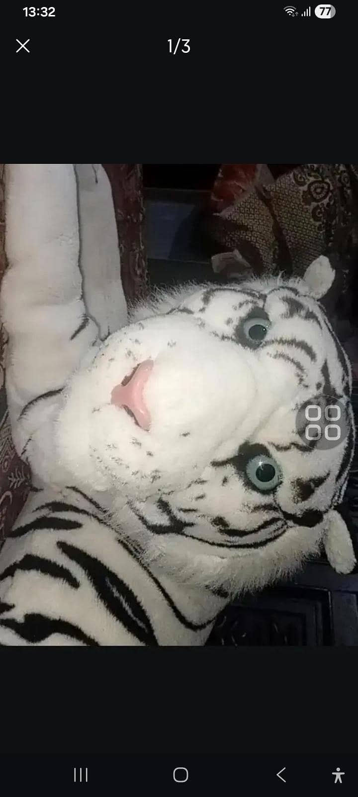 White tiger 1