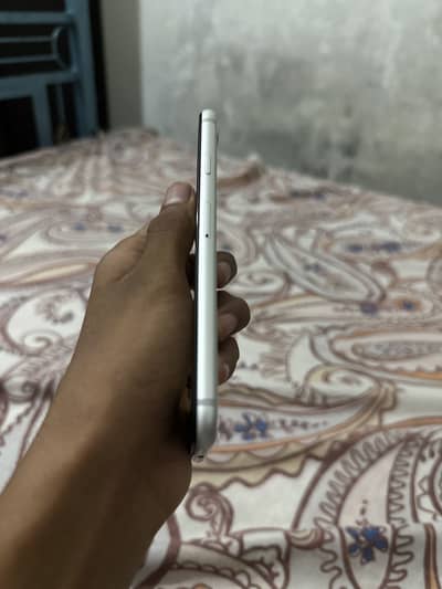 Taqishah iPhone 8 2000rs