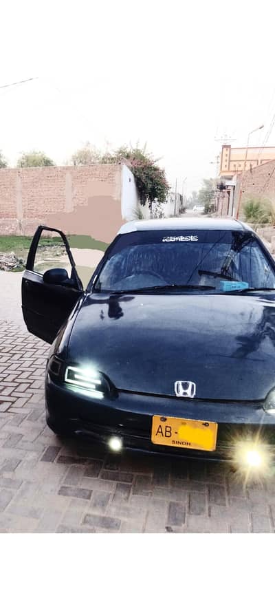 Honda Civic dolphin