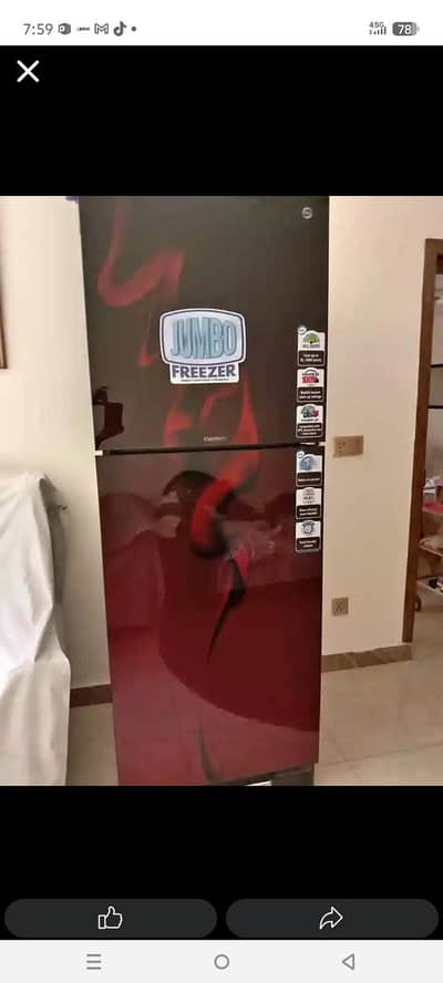 pel fridge new